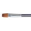 Picture of Princeton Aqua Elite 4850 Wash Brush