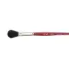 Picture of Princeton Velvet Touch 3950 Oval Mop