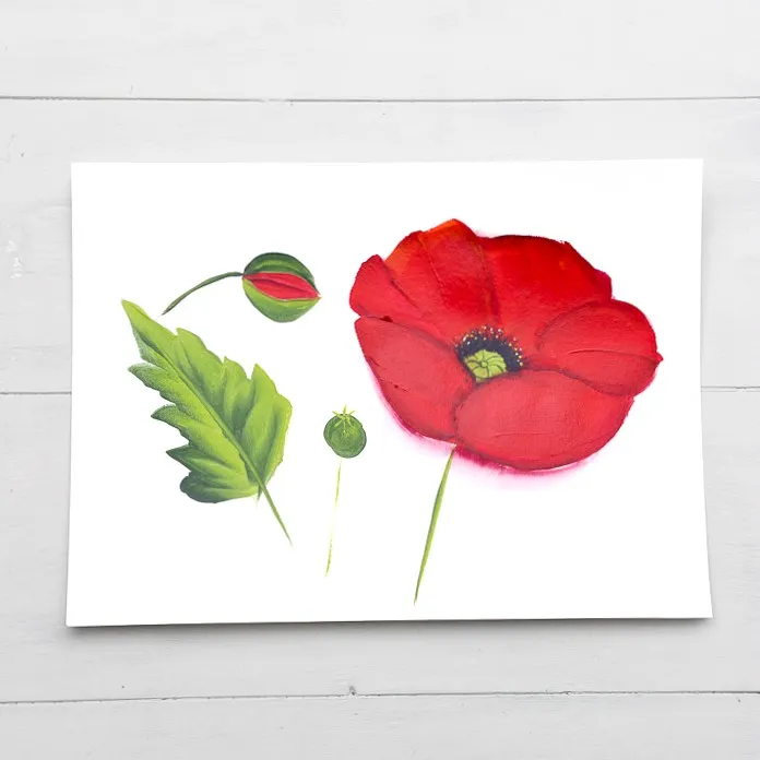 Anzac Day crafts - acrylic poppy painting